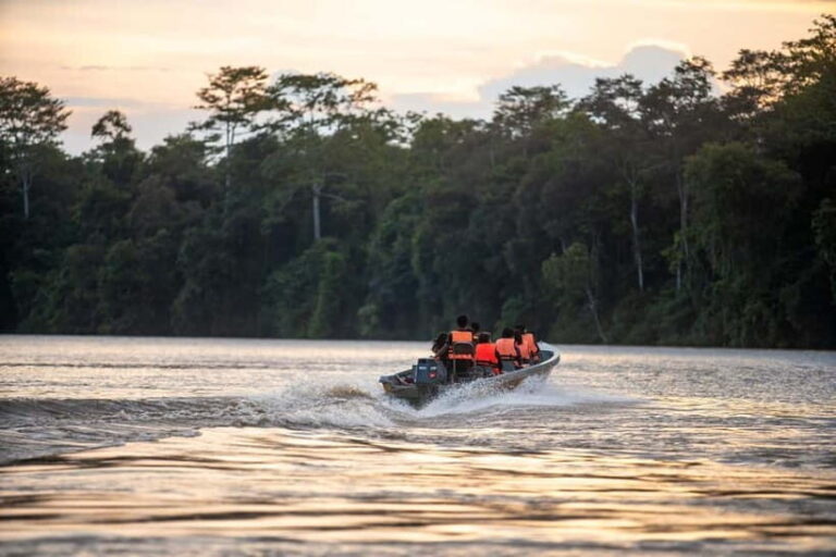 Sandakan: Kinabatangan River Wildlife Cruise with Lunch - Value & Price Analysis