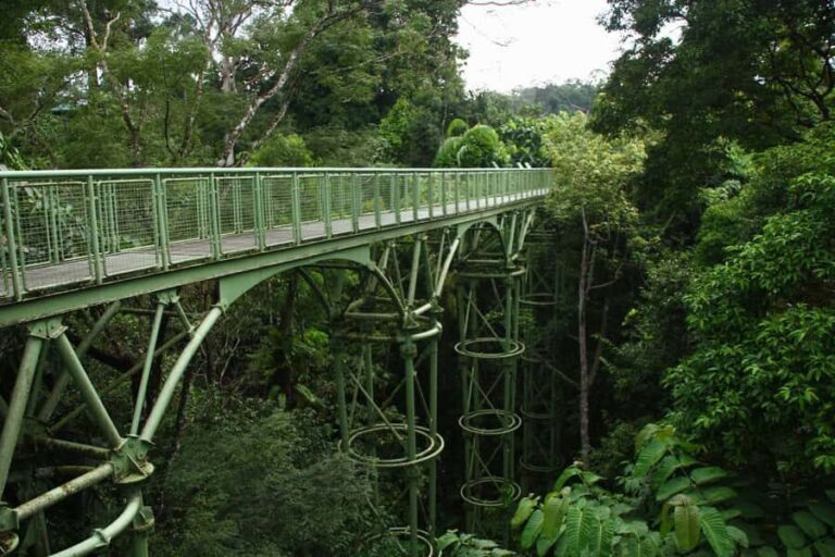 Sandakan: Private City Tour, Rainforest, Jungle Walk, Birds - An In-Depth Look at the Sandakan Private Tour