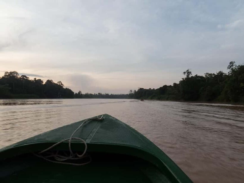 Sandakan: Sukau Rainforest Wildlife Journey & Dawn Cruises - Final Thoughts