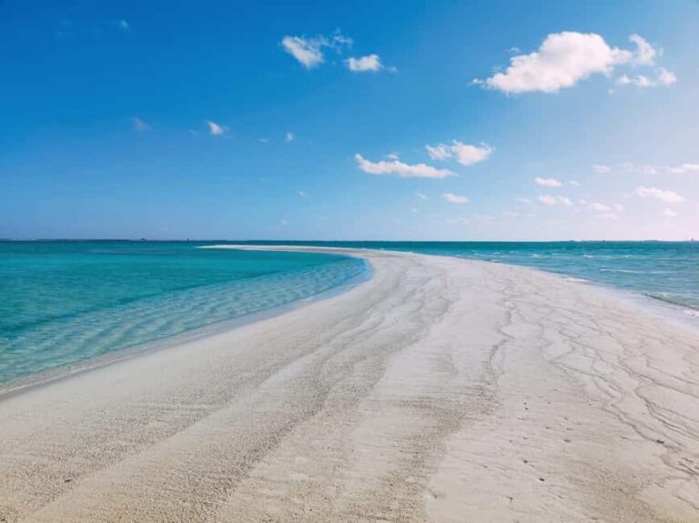 Sandbank, Boat Trip with Umbrellas and Water - The Itinerary in Detail