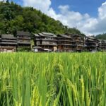 Sanjiang: 2-Day Dong Heritage Tour - Why This Tour Offers Great Value