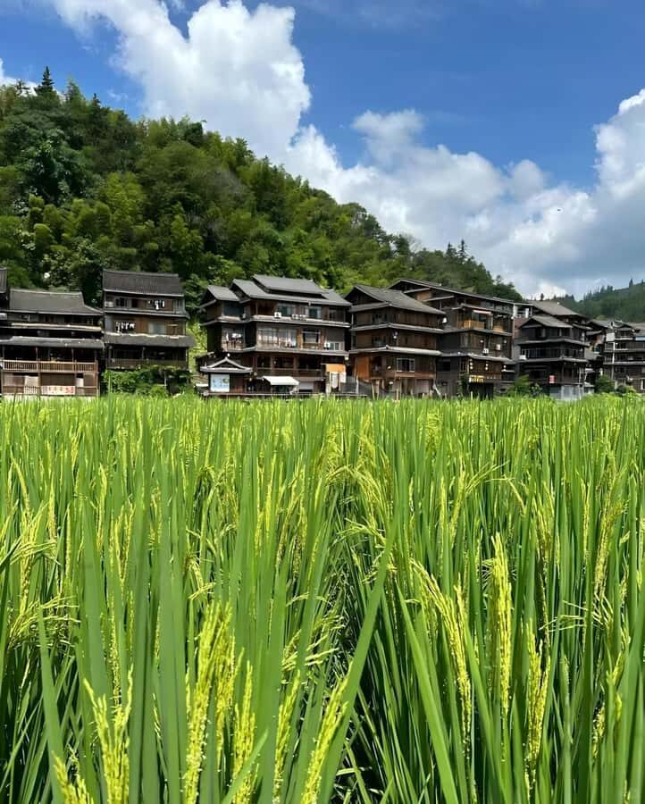 Sanjiang: 2-Day Dong Heritage Tour - Why This Tour Offers Great Value