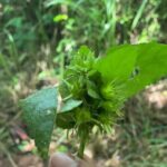 Santa Maria Beach Hike - Real Experiences from Fellow Travelers