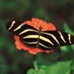 Santo Domingo: 3 Eyes Park & Botanical Garden Tour - The Practical Side of the Tour