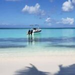 Santo Domingo: Isla Saona Day Trip with Lunch & Catamaran - Exploring the Itinerary and What Youll Experience