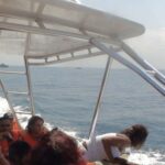 Santo Domingo: Whale Watching and Barcadi Island Full Day - Detailed Breakdown: What Makes It Stand Out?