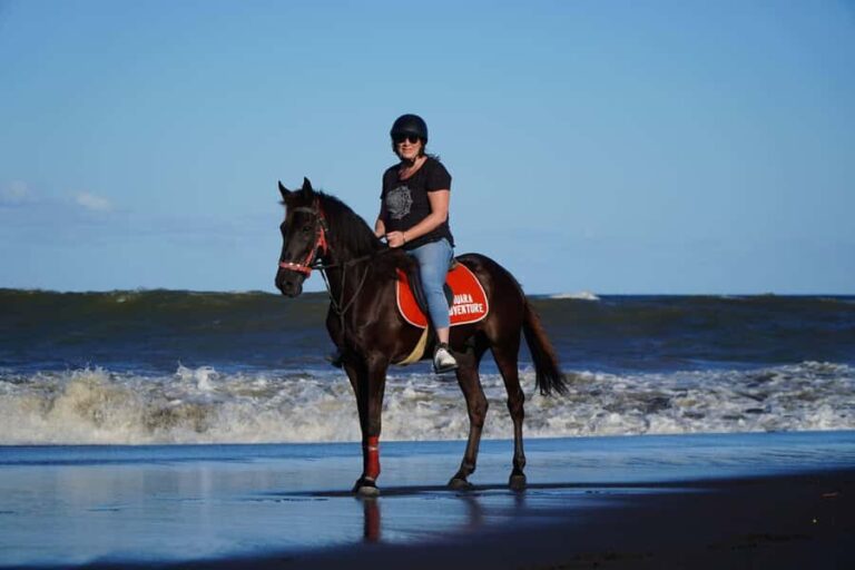 Sanur: Horse Riding at the Bali Beach 30 minute ride - The Sum Up