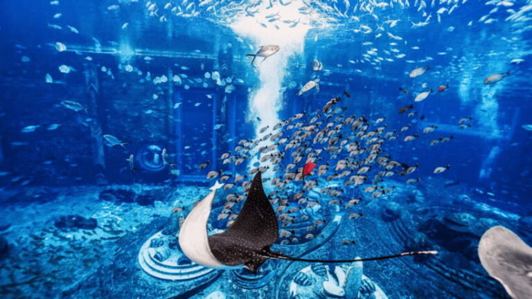 Sanya: Atlantis Lost Chambers Aquarium - Who Should Visit?