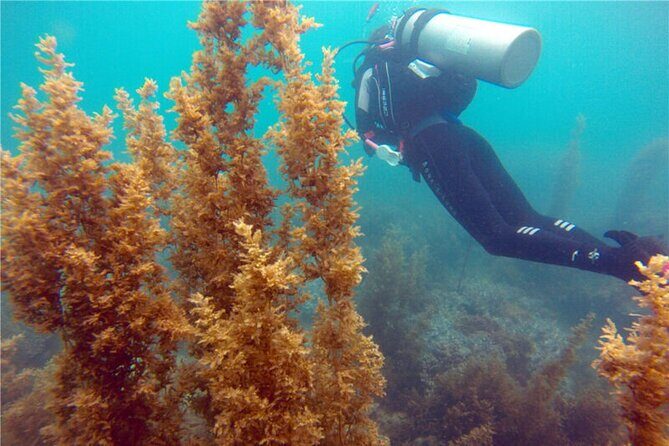 Sanya PADI Open Water Diving Package - FAQ