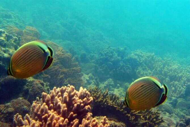 Sanya PADI Open Water Diving Package - The Journey to Fenjiezhou Islet