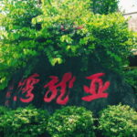 Sanya: Yalong Bay Tropical Forest Ticket and Tour Car - What to Expect: A Day at the Park