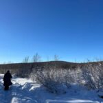 Sanzai: Selbe River Reservoir Hike with Lunch - The Hike: A Taste of Mongolia’s Natural Beauty