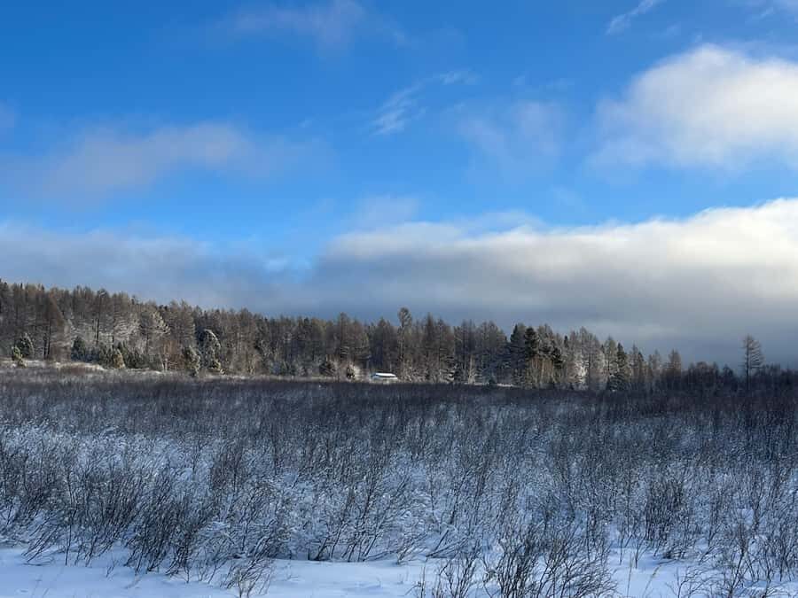 Sanzai: Selbe River Reservoir Hike with Lunch - Why This Tour Is Worth Considering