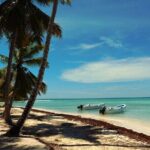 Saona Bayahibe Island Day Trip - Who Will Love This Tour?