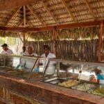 Saona full day with Food and drinks - Authentic Insights from Travelers