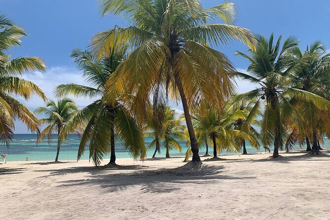 Saona Island 3 Beaches - The Value for Money  