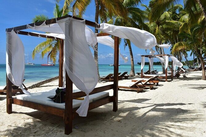 Saona Island Adventure From Santo Domingo - Authentic Experiences and Hidden Details