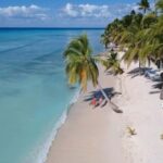 Saona Island all day with lunch and open bar departing from Punta Cana - Discovering Saona Island