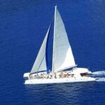 Saona Island: Catamaran/Speedboat Tour to a Dream Beach - The Highlight: The Natural Pool and Starfish