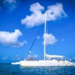 Saona Island Catamaran Tour Buffet & Open Bar from Punta Cana - Authentic Experiences & Real Feedback