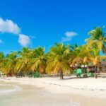 Saona Island & Chavon River Tour with Lunch & Drinks - Transportation & Group Dynamics
