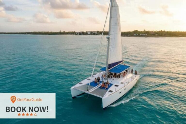 Saona Island Day Tour from Punta Cana with Lunch & Open Bar - Return Trip: A Contrasting Ride of the Same Mode  