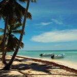 Saona Island Day Trip + Lobsters Included - Who Should Consider This Tour?
