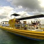 Saona Island Day Trip with Lunch and Open Bar at Punta Cana - Who Should Consider This Tour?