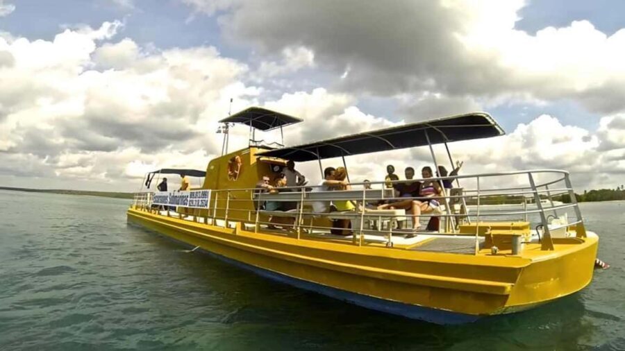 Saona Island Day Trip with Lunch and Open Bar at Punta Cana - Who Should Consider This Tour?