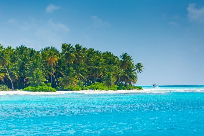 Saona Island Escape Caribbean Paradise Awaits - Why This Tour Is a Great Fit