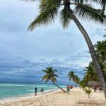 Saona Island: Exclusive Tour with Lunch - What to Expect: A Day Filled with Natural and Cultural Gems