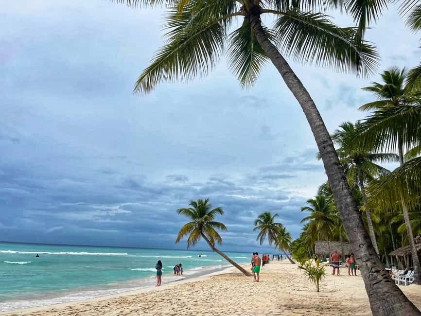 Saona Island: Exclusive Tour with Lunch - What to Expect: A Day Filled with Natural and Cultural Gems