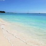 Saona Island from Punta Cana Day Trip with Open Bar - Discovering Saona Island: What You Can Expect