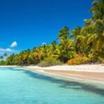Saona Island: Full-Day Tour with Speedboat and Catamaran - Why This Tour Offers Good Value