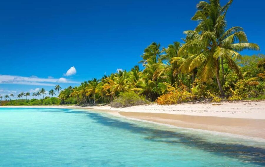 Saona Island: Full-Day Tour with Speedboat and Catamaran - Why This Tour Offers Good Value