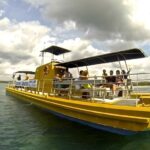 Saona Island in a semi-submarine and snorkeling. - Logistics and Practicalities