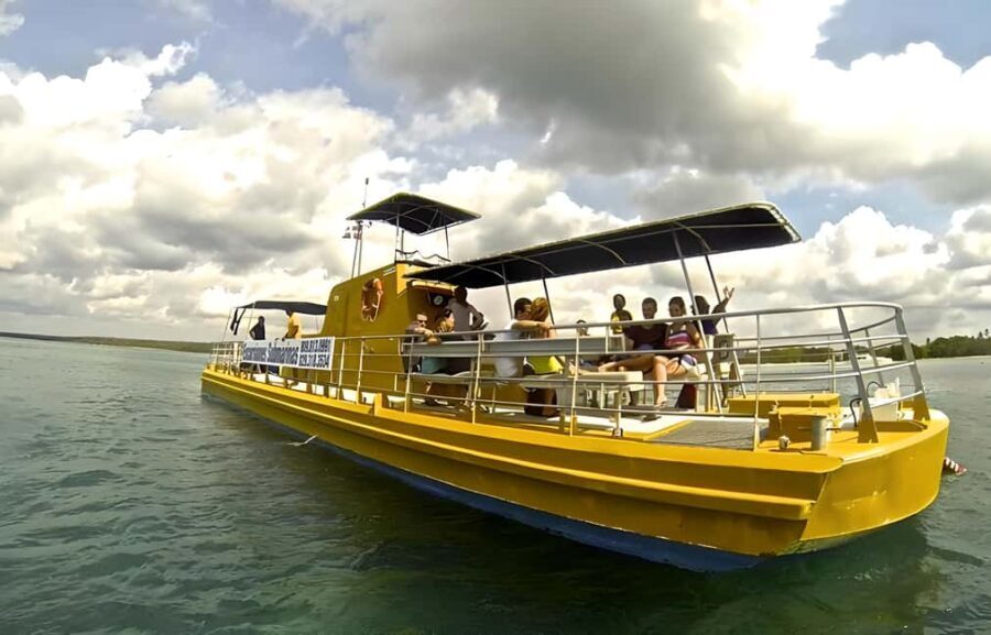 Saona Island in a semi-submarine and snorkeling. - Logistics and Practicalities