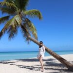 Saona Island One Day in Paradise Small Group - Who Will Love This Tour?