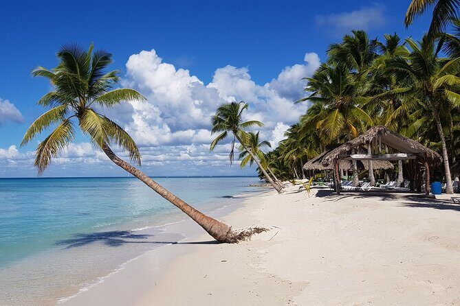 Saona Island Package with Roundtrip Transportation from Airport and Hotels - The Sum Up