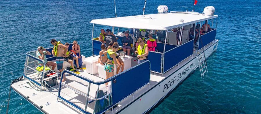 Saona Island Private: +10 People Catamarán - What We Loved About This Tour