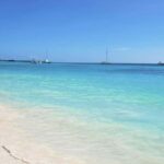 Saona Island: Relaxation Day Trip with Open Bar - Why Choose the Saona Island Day Trip?