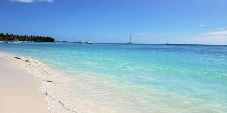 Saona Island: Relaxation Day Trip with Open Bar - Why Choose the Saona Island Day Trip?