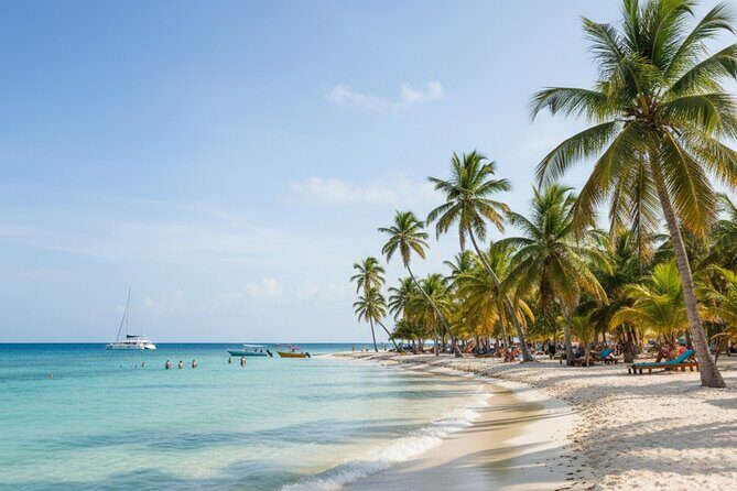 Saona Island Small Group Full Day Tour Whit Lunch and Drinks - Who Is This Tour Best Suited For?