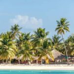 Saona Island Speedboat and Catamaran Cruise and Buffet Lunch - An In-Depth Look at the Tour Experience