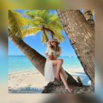 Saona Island Tour All Inclusive Speedboat and Catamaran - What Sets This Tour Apart