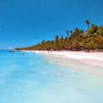 Saona Island Tour from Juan Dolio with pickup - Who Will Love This Tour?