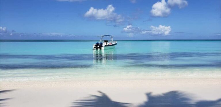 Saona Island Tour From Santo Domingo with Lunch and Pickup - Worth It? Analyzing the Value