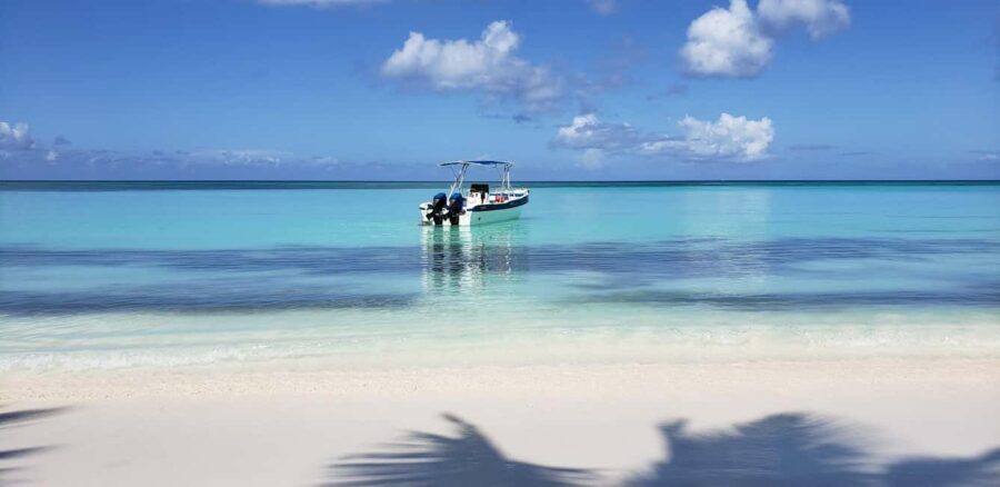 Saona Island Tour From Santo Domingo with Lunch and Pickup - Worth It? Analyzing the Value