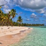 Saona Paradise Island : Catamaran, Natural Pool and Typical Lunch - An Introduction to Saona Island Tours