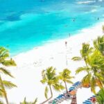 Saona Relax Tour - Who Should Consider This Tour?